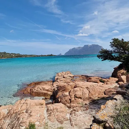 Apartmán Le Viole Olbia