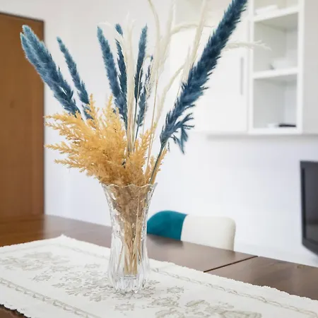 Le Viole * 奧爾比亞