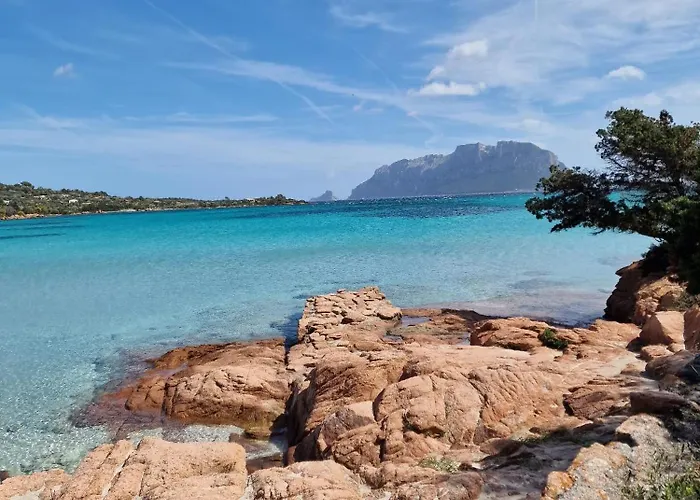 Lejlighed Le Viole Olbia